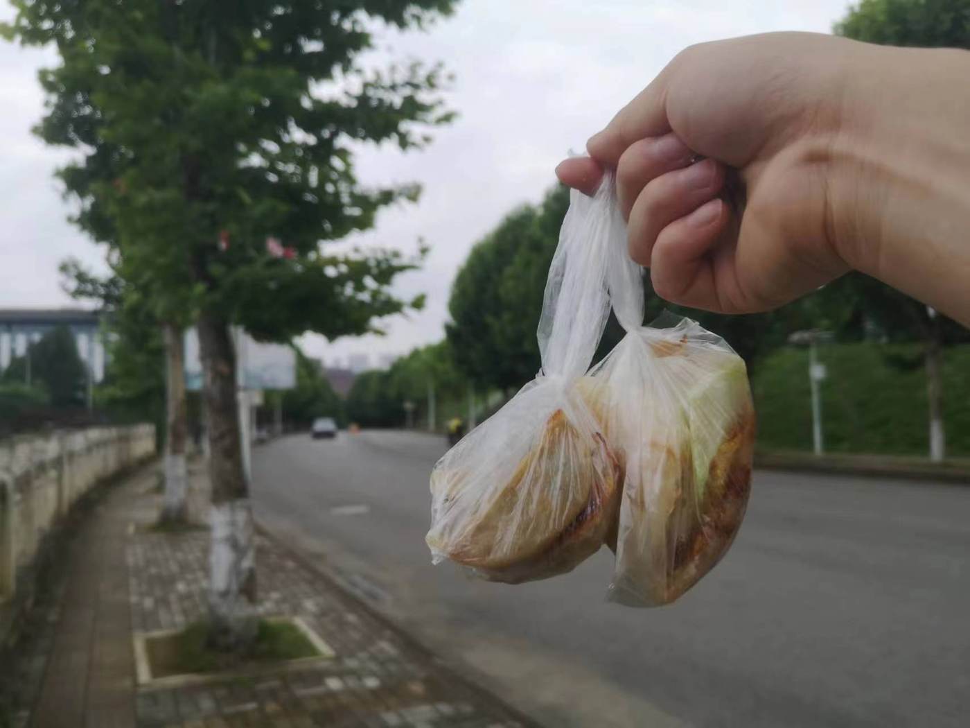Untitled 1.jpeg